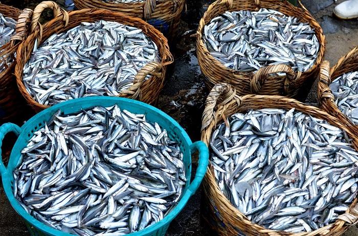 Nước mắm Phú Quốc nuoc-mam-phu-quoc-5