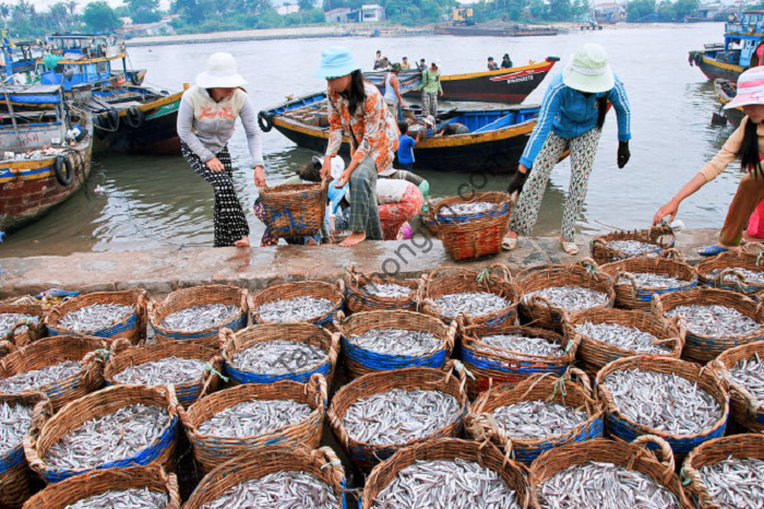 Nước mắm Phú Quốc nuoc-mam-phu-quoc-8