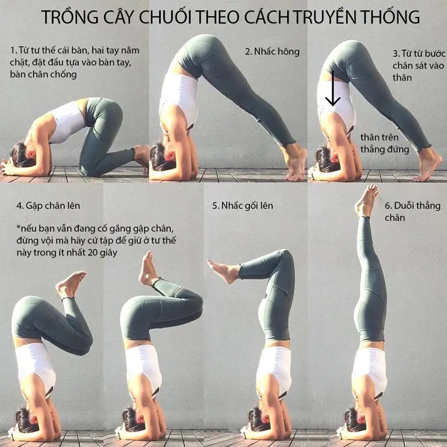Tiết kiệm nhiều chi phí hơn cũng như thời gian, công sức mà hiệu suất công việc nâng cao hơn