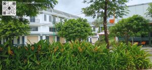 Bán Đất Dường D8, Hòa Lợi, Bến Cát, Bình Dương Diện tích: 5x18m (90m²) Pháp lý: Sổ hồng riêng, thổ cư 100%