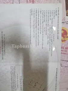 CHÍNH CHỦ Cần Bán 2 lô đất liền kề vị trí đẹp tại Bản Chom Chăng – Thân Thuộc – Tân Uyên – Lai Châu