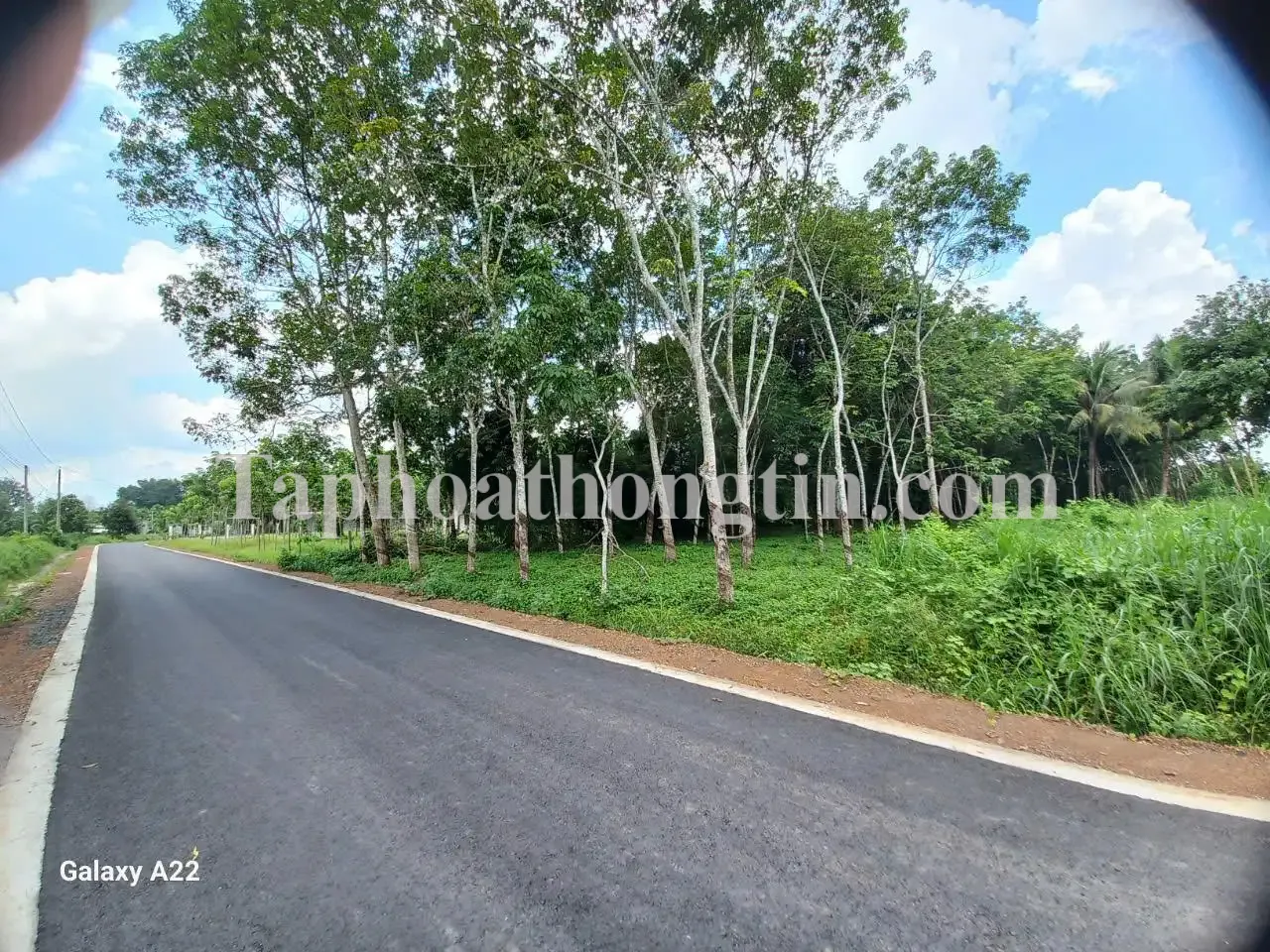 CHÍNH CHỦ Cần Bán Nhanh Đất Mặt Đường Tại Xã Long Hòa, Dầu Tiếng, Bình Dương 4