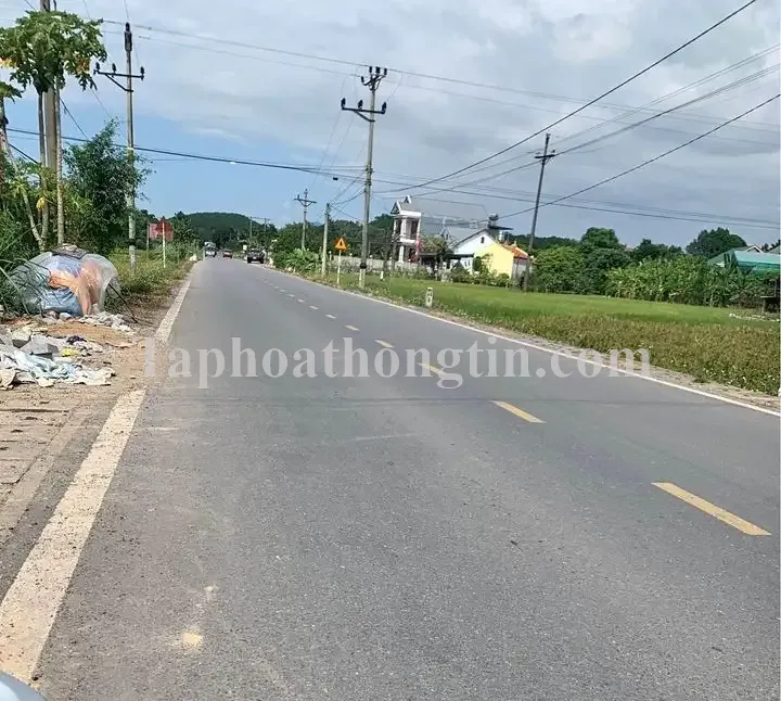 Siêu Phẩm Đất TMDV 7000m² Mặt Đường Thái Bình – Cồn Vành. Cơ Hội Đầu Tư Sinh Lời Cao! 2