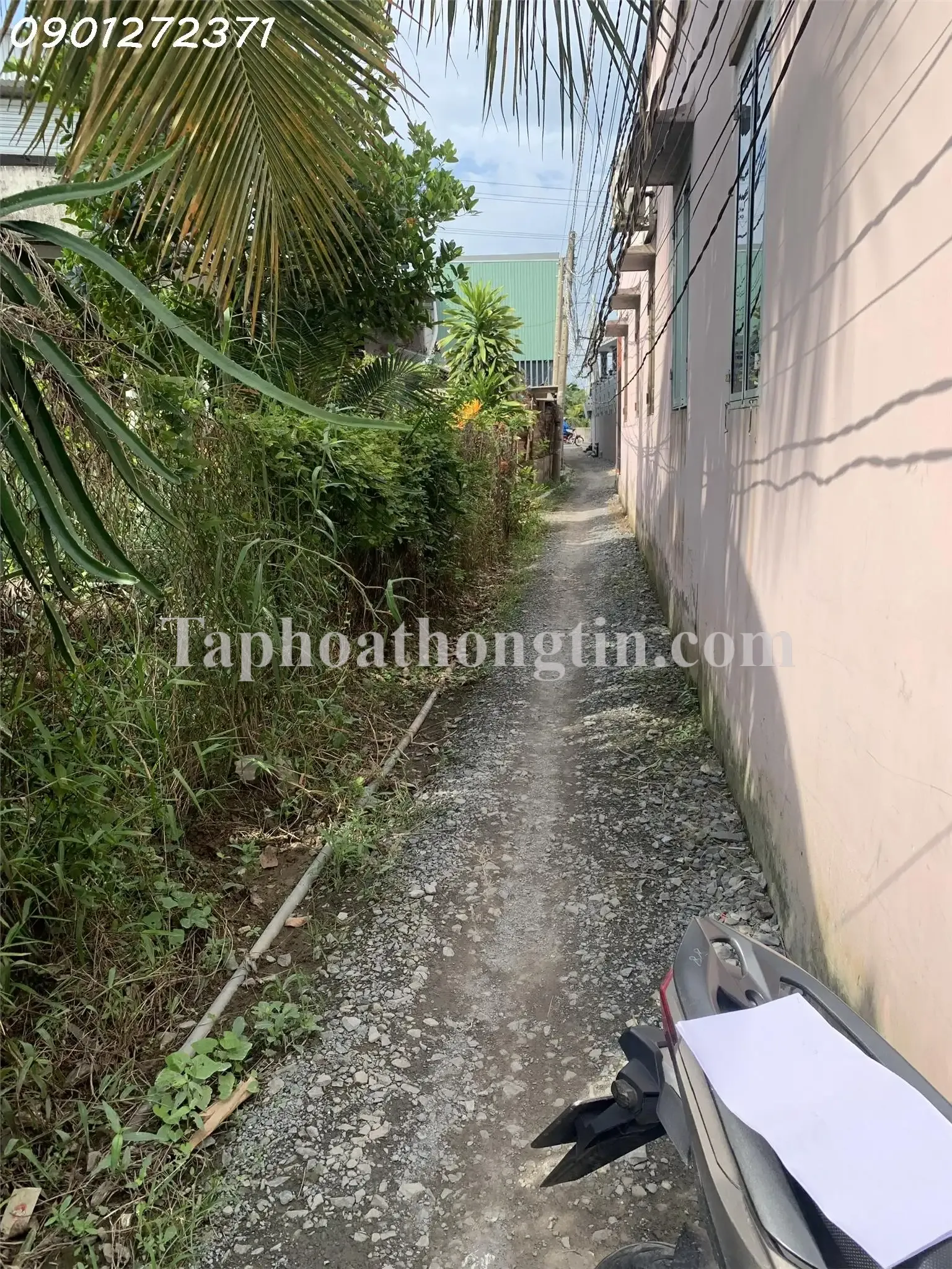 Bán lô đất thổ cư Long Định, Cần Đước, nằm sau mặt tiền DT 830B chỉ một căn nhà 4