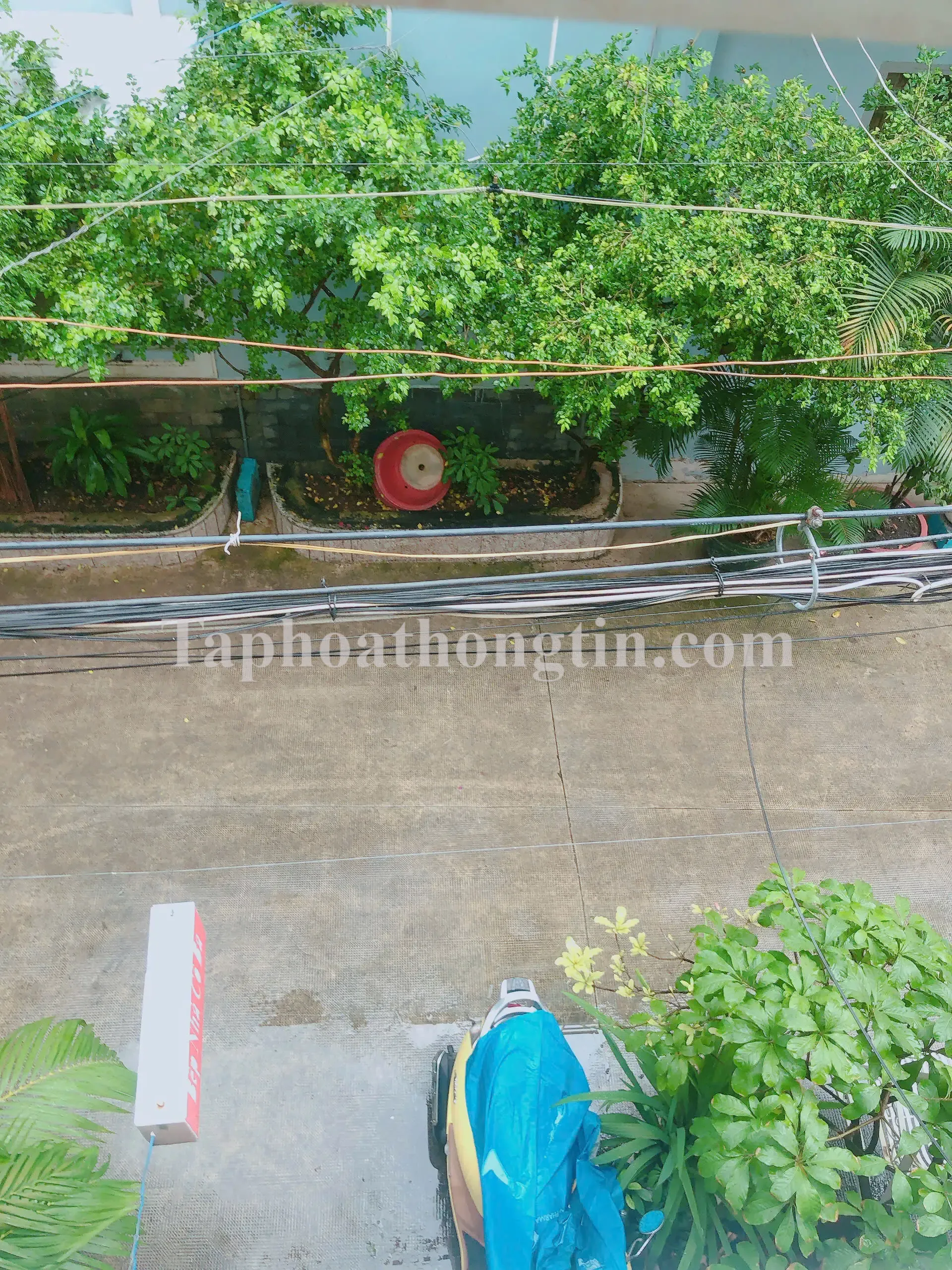 Phòng Trọ Cho Thuê ở Bành Văn Trân – Tân Bình 3