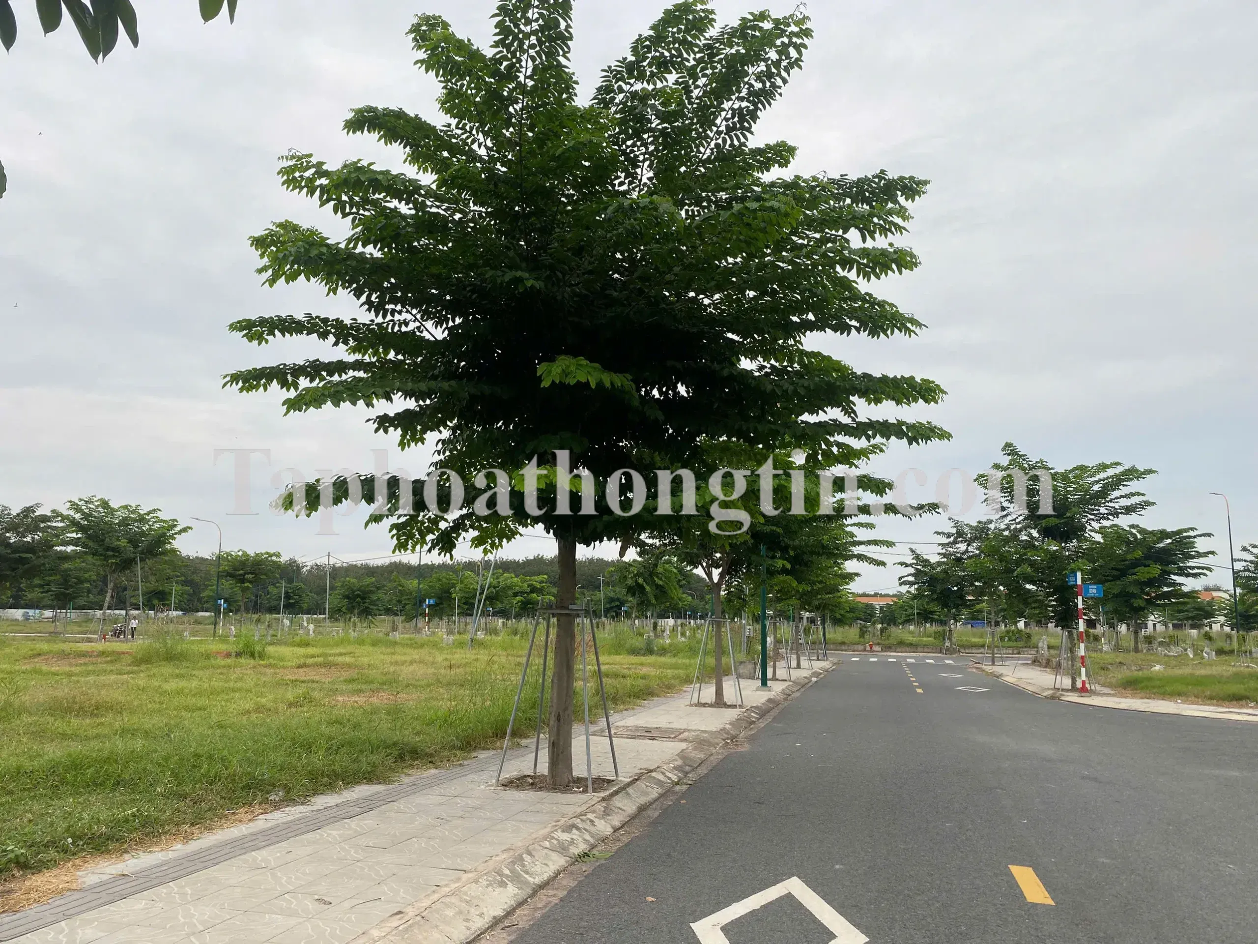“Cơ Hội Vàng: Sở Hữu Lô Đất Nền 80m² Hòa Lợi, Pháp Lý Chuẩn, Giá 1,68 Tỷ! 2