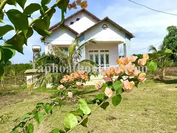 ✨🏡 CƠ HỘI CÓ 1 0 2 – SỞ HỮU ĐẤT & NHÀ ĐẸP VIEW HỒ DAKLAK – HƠN 700 TR 2