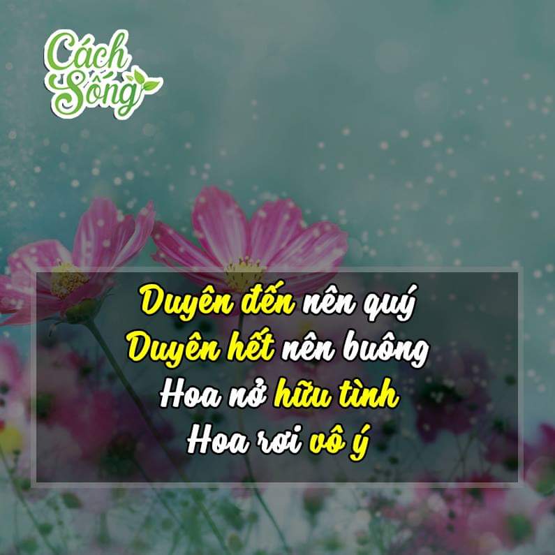 DỊCH VỤ THÀNH LẬP HỘ KINH DOANH & HỢP TÁC TOÀN QUỐC 2025 2