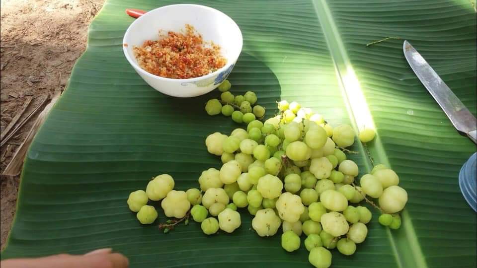 DỊCH VỤ THÀNH LẬP HỘ KINH DOANH & HỢP TÁC TOÀN QUỐC 2025 4
