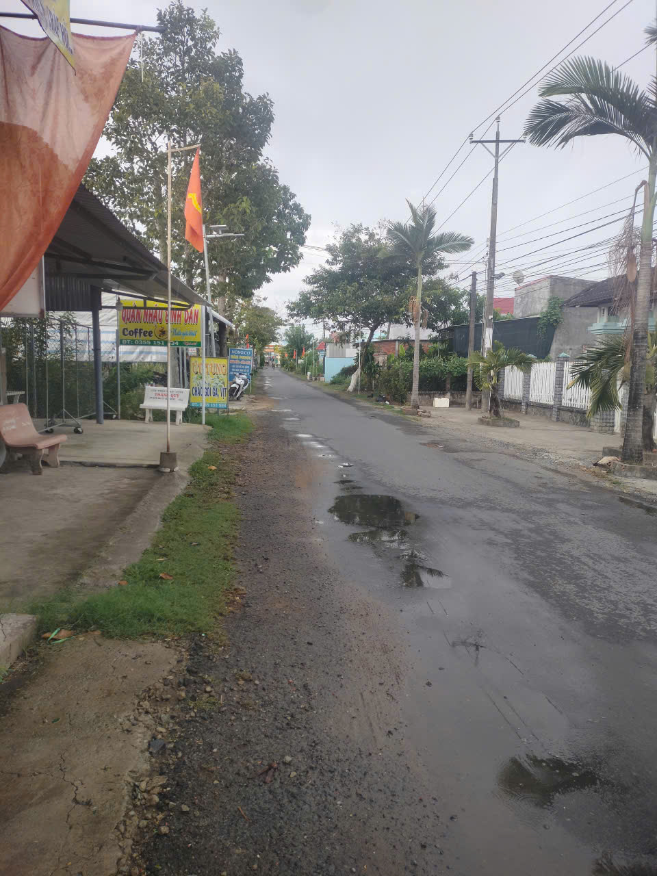 Kinh nghiệm du lịch Vĩnh Long tự túc: Bí kíp khám phá từ A-Z