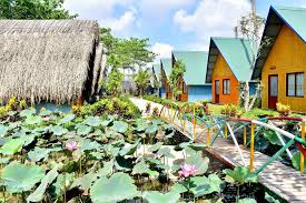 Ẩm thực Vĩnh Long và món ngon đặc sản: Ăn là nhớ mãi