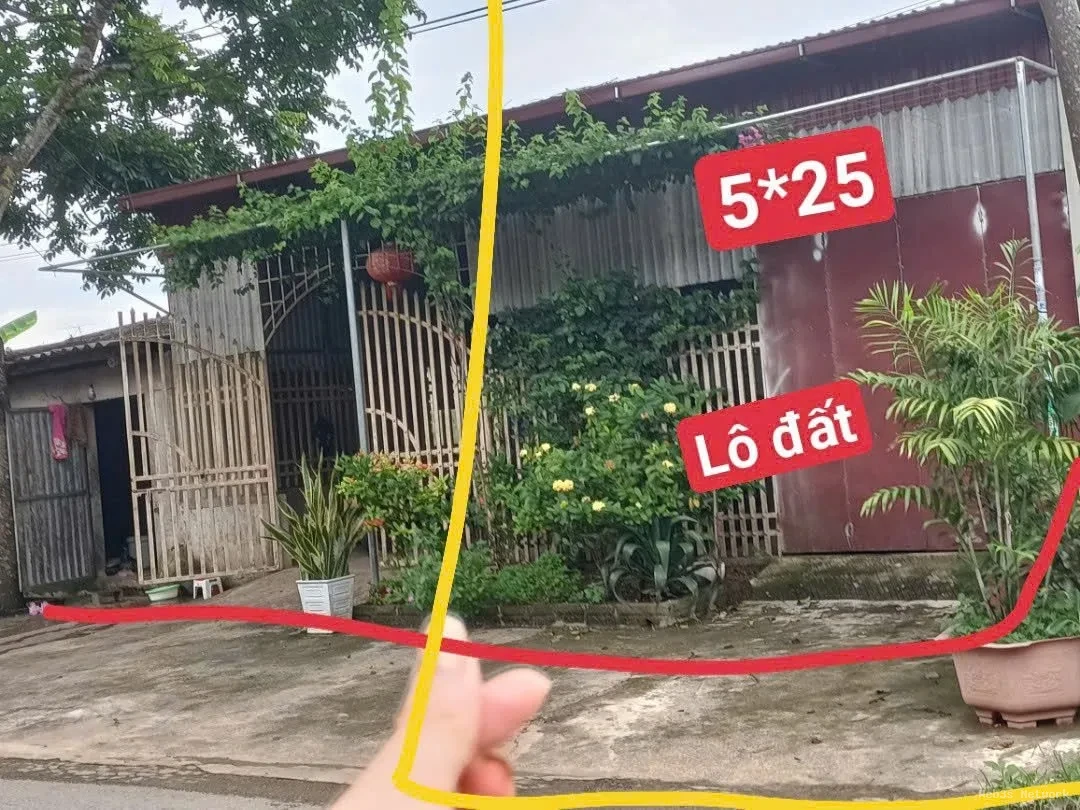 HOT HOT – CHÍNH CHỦ CẦN BÁN ĐẤT MẶT TIỀN QL.217, X. Cẩm Ngọc, H. Cẩm Thủy, T. Thanh Hóa 4