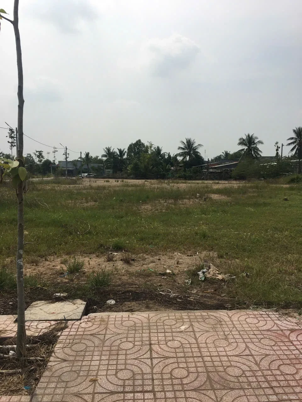 ĐẦU TƯ SINH LỜI – ĐẤT ĐẸP – CHÍNH CHỦ Cần Bán Đất Đường Quốc lộ 50, Xã Mỹ Lệ, Huyện Cần Đước, Long An. 3
