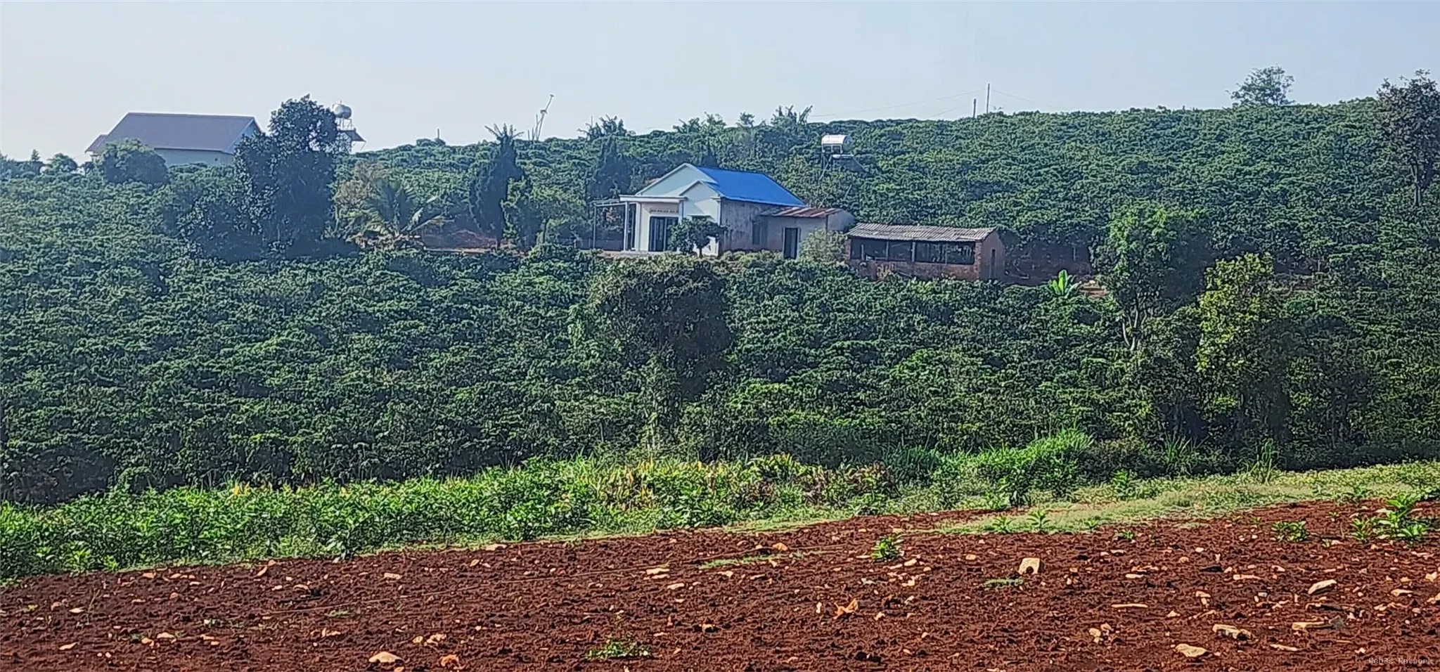 ĐẤT ĐẸP – GIÁ TỐT – CHÍNH CHỦ CẦN BÁN ĐẤT TẠI Nam Hà, Lâm Hà, Lâm Đồng 4