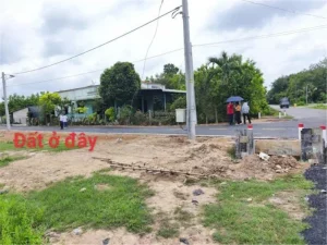 CHÍNH CHỦ CẦN BÁN LÔ LIỀN KỀ MẶT TIỀN ĐƯỜNG NHỰA – Xã Minh Thạnh, Dầu Tiếng, Bình Dương