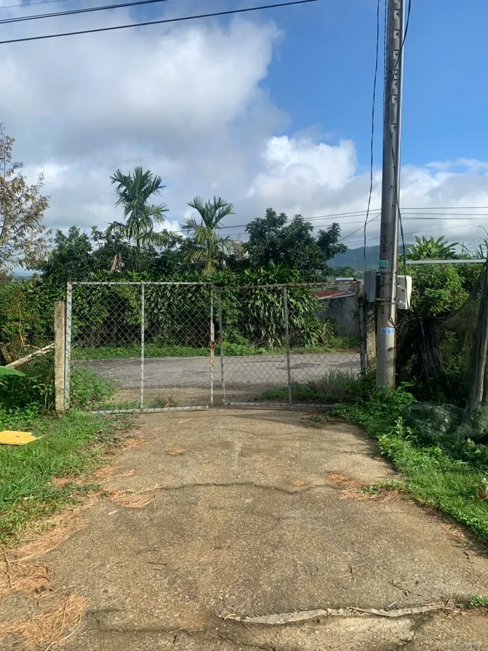 HOT HOT – CHÍNH CHỦ CẦN BÁN ĐẤT VƯỜN TẠI X. Đinh Trang Hòa, H. Di Linh, T. Lâm Đồng 3