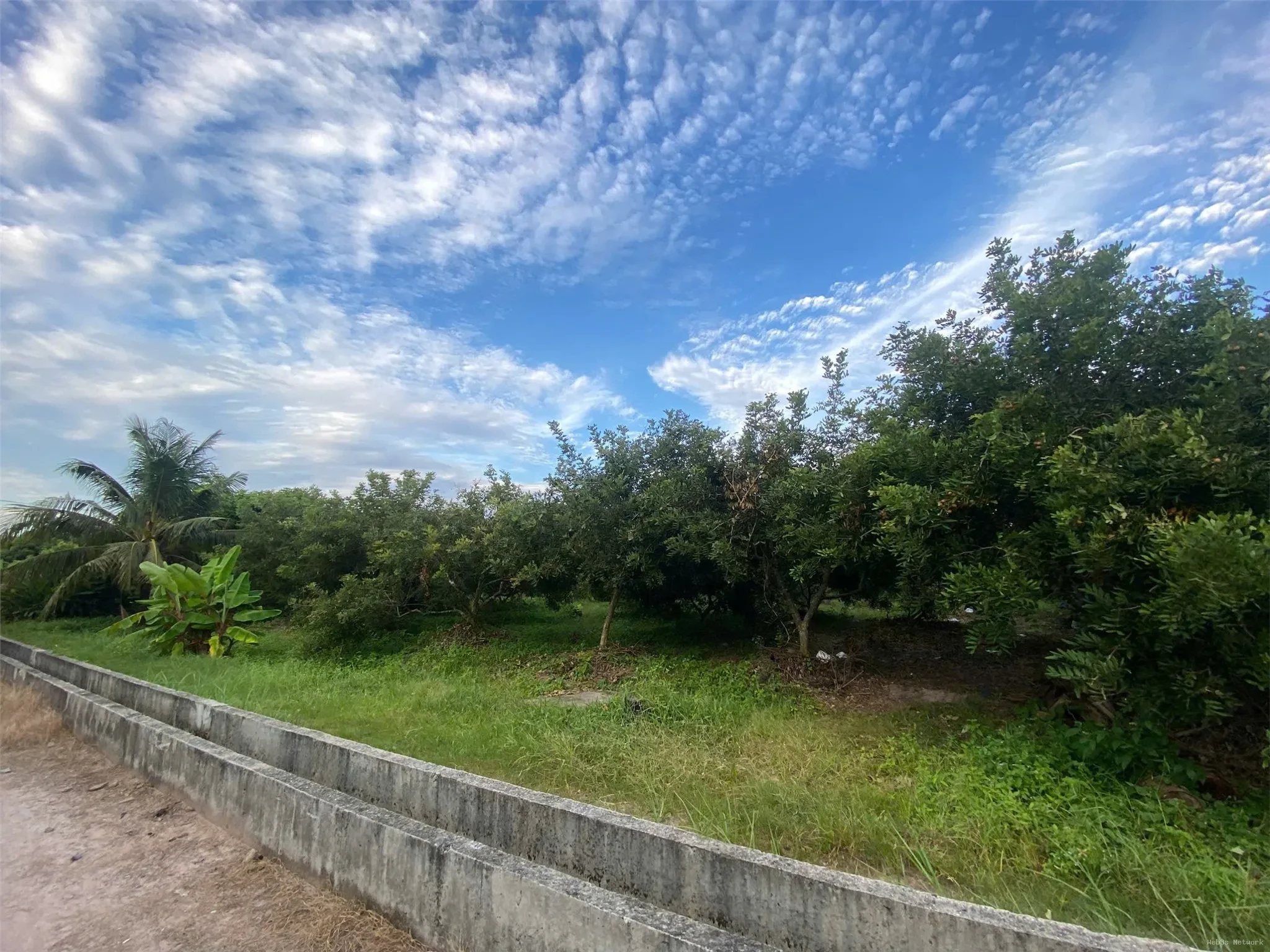 ĐẦU TƯ SINH LỜI – CHÍNH CHỦ CẦN BÁN ĐẤT Tại Xã Trường Đông, thị xã Hòa Thành, tỉnh Tây Ninh 4
