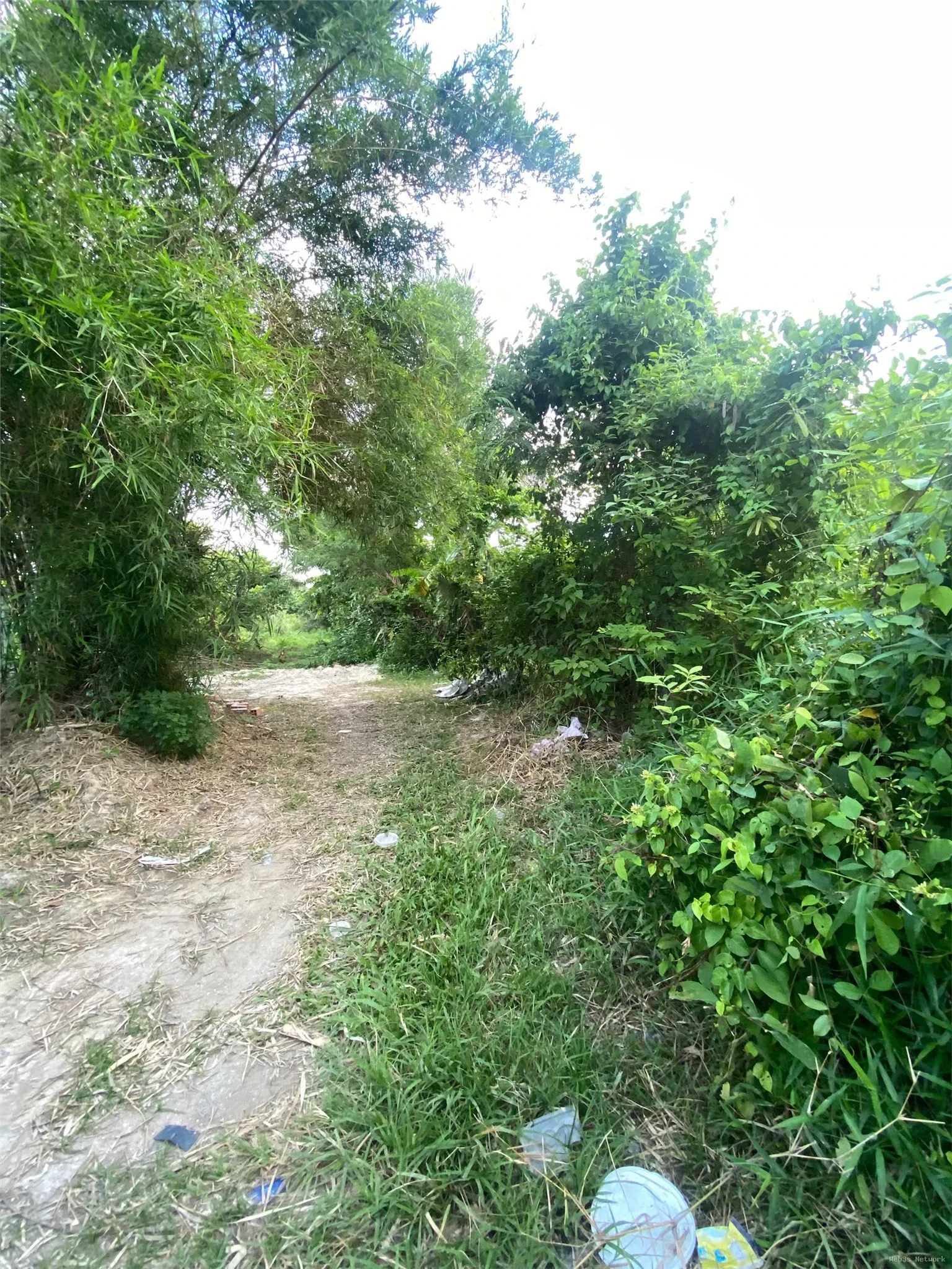 ĐẦU TƯ SINH LỜI – CHÍNH CHỦ CẦN BÁN ĐẤT Tại Xã Trường Đông, thị xã Hòa Thành, tỉnh Tây Ninh 2