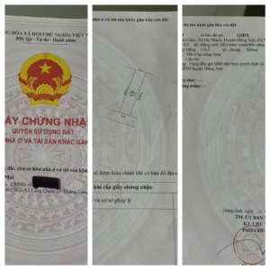 CHÍNH CHỦ Cần Bán Lô Đất Đấu Thầu Tại Thôn Mai Châu, Xã Thiên Lộc, Thành Phố Hà Nội