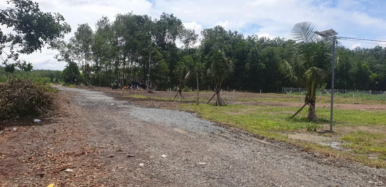 ĐẦU TƯ SINH LỜI – CHÍNH CHỦ CẦN BÁN ĐẤT TẠI Thị trấn Tân Khai, huyện Hớn Quản, Bình Phước 2