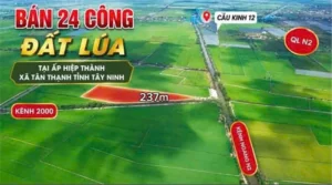 ĐẤT ĐẸP – ĐẦU TƯ SINH LỜI – CẦN BÁN 3 LÔ ĐẤT GIÁ TỐT – Ấp Hiệp Thành, Xã Tân Thạnh, Tây Ninh