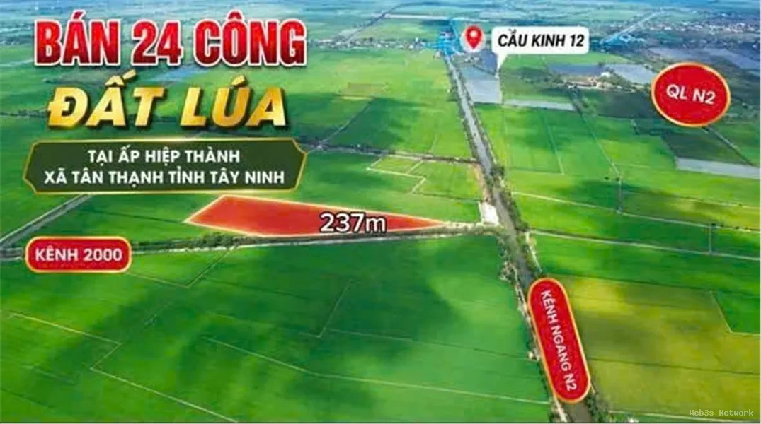 ĐẤT ĐẸP – ĐẦU TƯ SINH LỜI – CẦN BÁN 3 LÔ ĐẤT GIÁ TỐT – Ấp Hiệp Thành, Xã Tân Thạnh, Tây Ninh