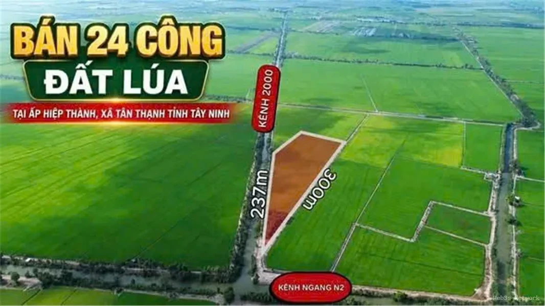 ĐẤT ĐẸP – ĐẦU TƯ SINH LỜI – CẦN BÁN 3 LÔ ĐẤT GIÁ TỐT – Ấp Hiệp Thành, Xã Tân Thạnh, Tây Ninh 5