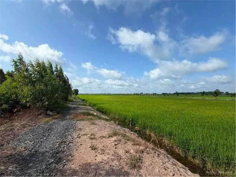 ĐẤT ĐẸP – ĐẦU TƯ SINH LỜI – CẦN BÁN 3 LÔ ĐẤT GIÁ TỐT – Ấp Hiệp Thành, Xã Tân Thạnh, Tây Ninh 4