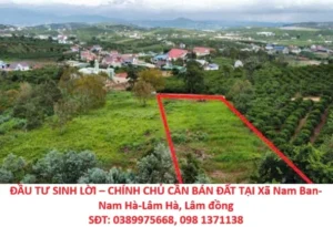 ĐẦU TƯ SINH LỜI – CHÍNH CHỦ CẦN BÁN ĐẤT TẠI Xã Nam Ban- Nam Hà-Lâm Hà, Lâm đồng