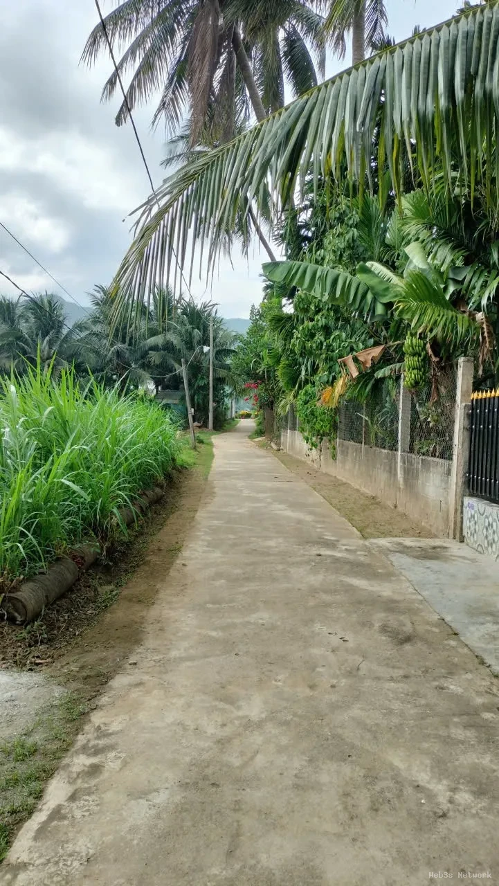 HOT HOT – CHÍNH CHỦ CẦN BÁN LÔ ĐẤT GÓC TẠI X. Hoài Sơn, TX. Hoài Nhơn, T. Bình Định 3
