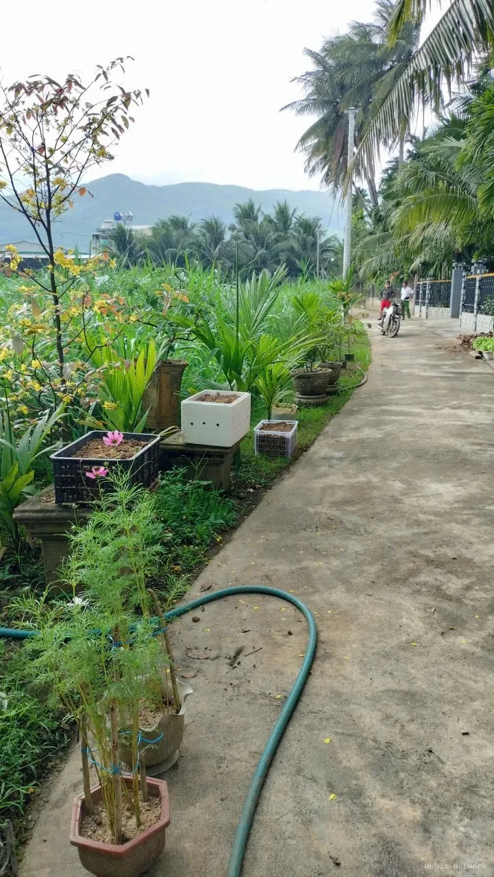 HOT HOT – CHÍNH CHỦ CẦN BÁN LÔ ĐẤT GÓC TẠI X. Hoài Sơn, TX. Hoài Nhơn, T. Bình Định 2