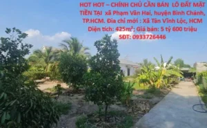 HOT HOT – CHÍNH CHỦ CẦN BÁN LÔ ĐẤT MẶT TIỀN TẠI xã Phạm Văn Hai, huyện Bình Chánh, TP.HCM