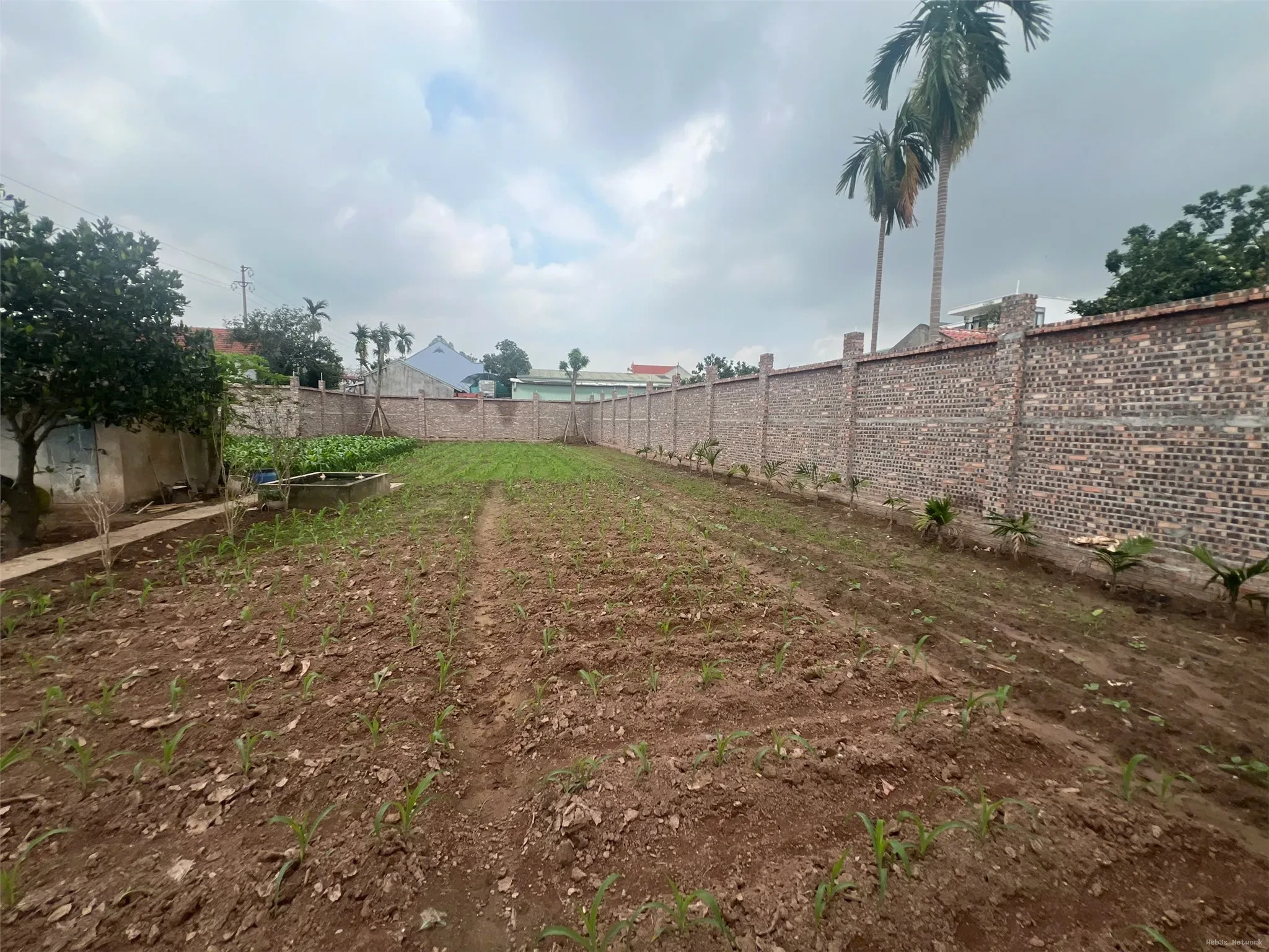 ĐẤT CHÍNH CHỦ- GIÁ TỐT BÁN NHANH LÔ ĐẤT VỊ TRÍ ĐẮC ĐỊA tại Huyện Khoái Châu, Hưng Yên 5