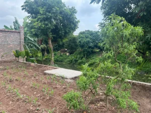 ĐẤT CHÍNH CHỦ- GIÁ TỐT BÁN NHANH LÔ ĐẤT VỊ TRÍ ĐẮC ĐỊA tại Huyện Khoái Châu, Hưng Yên