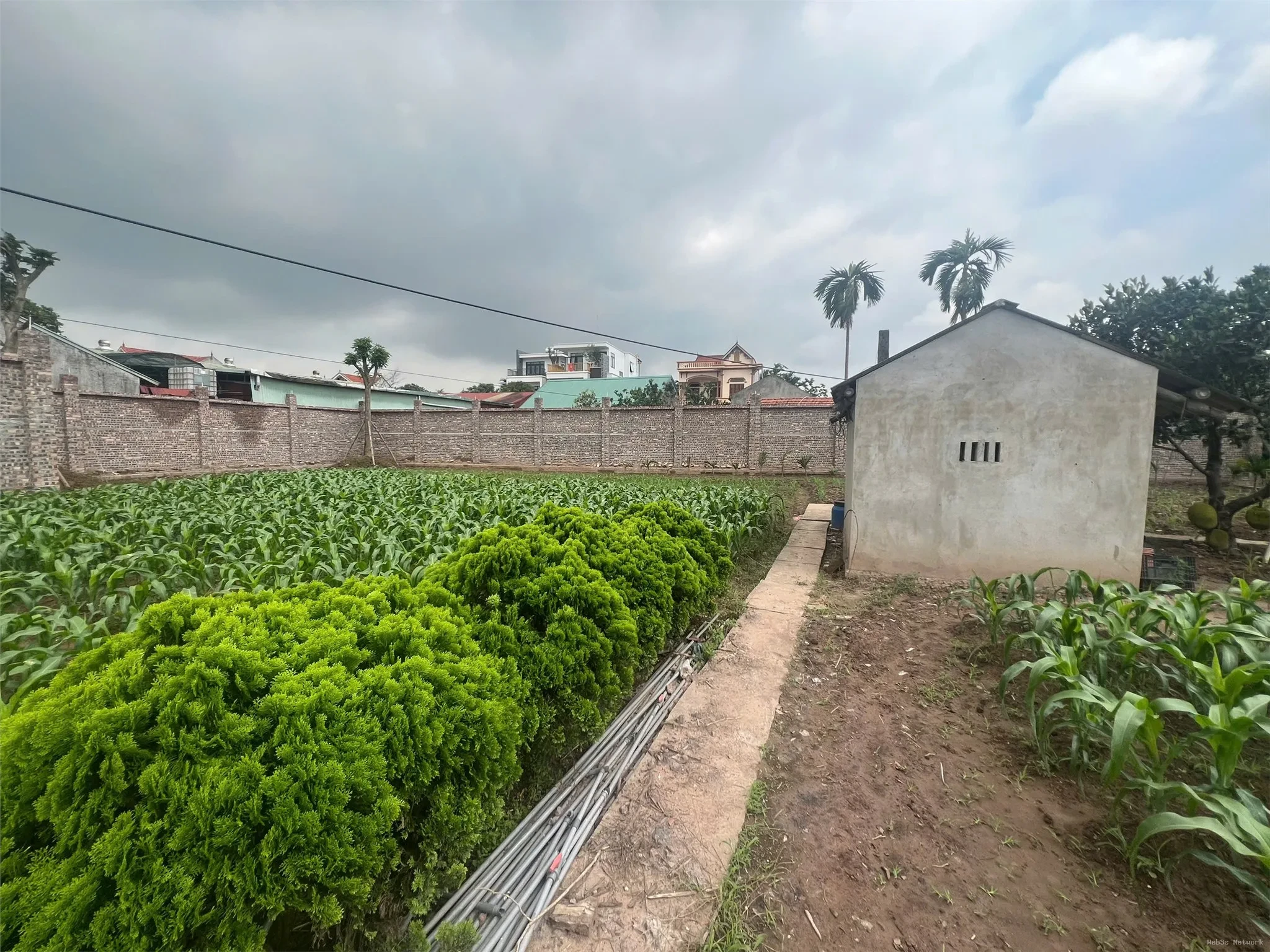 ĐẤT CHÍNH CHỦ- GIÁ TỐT BÁN NHANH LÔ ĐẤT VỊ TRÍ ĐẮC ĐỊA tại Huyện Khoái Châu, Hưng Yên 4