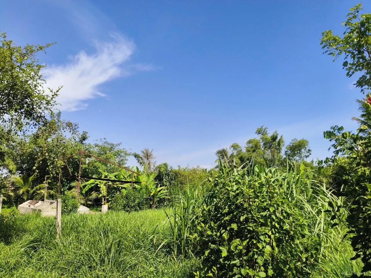 ĐẤT ĐẸP, GIÁ ĐẦU TƯ – CHÍNH CHỦ CẦN BÁN LÔ ĐẤT TẠI X. Phước Hiệp, H. Củ Chi, TP. HCM 5