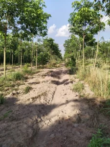 ĐẤT ĐẸP- GIÁ TỐT BÁN NHANH LÔ ĐẤT ĐẦU TƯ LÀ SINH LỜI TẠI huyện Bắc Tân Uyên, tỉnh Bình Dương