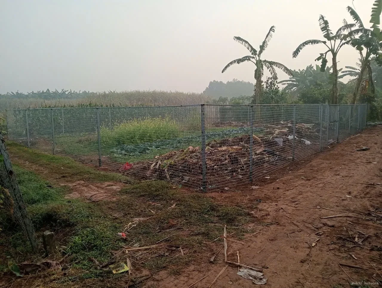 Cần Bán Nhanh Lô Đất Vị Trí Đắc Địa Tại Đồng Lư, Đồng Quang, Quốc Oai, TP Hà Nội 2