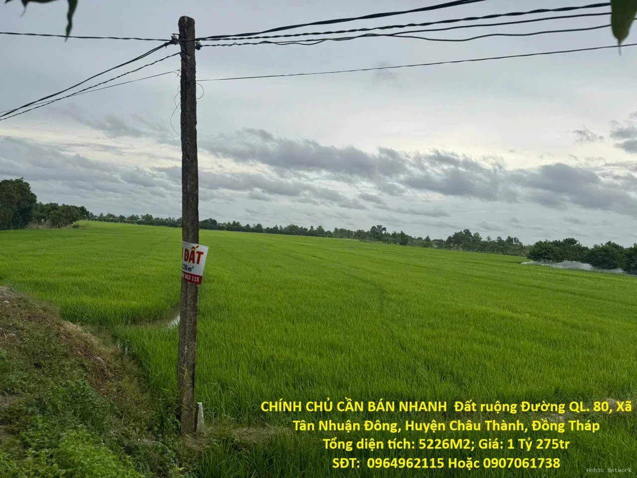 CHÍNH CHỦ CẦN BÁN NHANH Đất ruộng Tân Nhuận Đông Châu Thành Đồng Tháp