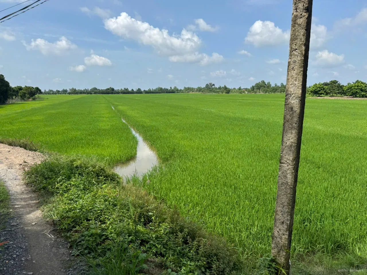 CHÍNH CHỦ CẦN BÁN NHANH Đất ruộng Tân Nhuận Đông Châu Thành Đồng Tháp 3