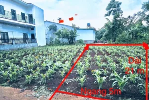ĐẦU TƯ SINH LỜI – CHÍNH CHỦ CẦN BÁN ĐẤT Tại phường Tân An (trước là xã Eatu, TP Buôn mê thuột), tỉnh Đắc Lắk