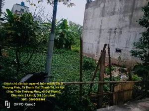Chính chủ cần bán ngay và luôn mảnh đất ở Thượng Phúc, Tả Thanh Oai, Thanh Trì, Hà Nội