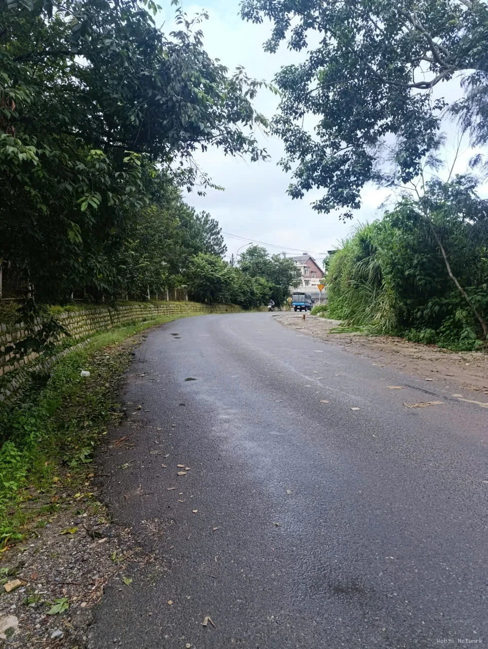 ĐẤT ĐẸP- GIÁ TỐT BÁN NHANH LÔ ĐẤT ĐẦU TƯ LÀ SINH LỜI TẠI TP. Đà Lạt, tỉnh Lâm Đồng 3