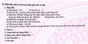 CƠ HỘI ĐẦU TƯ SINH LỜI – Chính Chủ Bán 3 Nền Đất full Thổ Cư Tại Xã Gia Canh, Định Quán, Đồng Nai