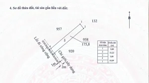 ĐẤT ĐẸP – GIÁ TỐT- CHÍNH CHỦ CẦN BÁN ĐẤT Tại Xã Tân Lân, Huyện Cần Đước, Long An