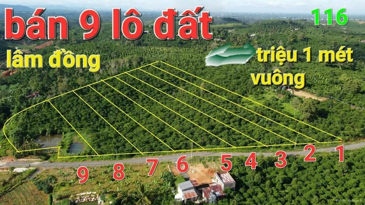 HOT HOT – CHÍNH CHỦ CẦN BÁN 9 LÔ ĐẤT VIEW ĐỒI TẠI Thôn Đông La 2, xã Lộc Đức, Bảo Lâm, Lâm Đồng.