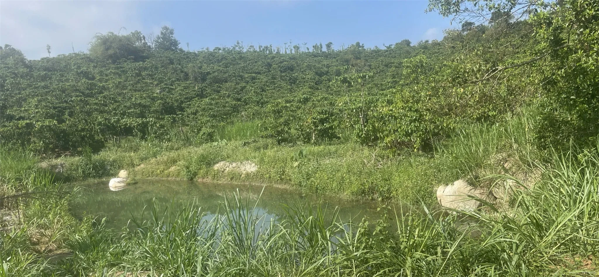 HOT HOT – CHÍNH CHỦ CẦN BÁN 9 LÔ ĐẤT VIEW ĐỒI TẠI Thôn Đông La 2, xã Lộc Đức, Bảo Lâm, Lâm Đồng. 3