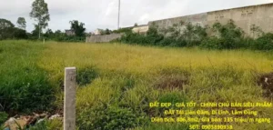 ĐẤT ĐẸP – GIÁ TỐT – CHÍNH CHỦ BÁN SIÊU PHẨM ĐẤT TẠI Liên Đầm, Di Linh, Lâm Đồng