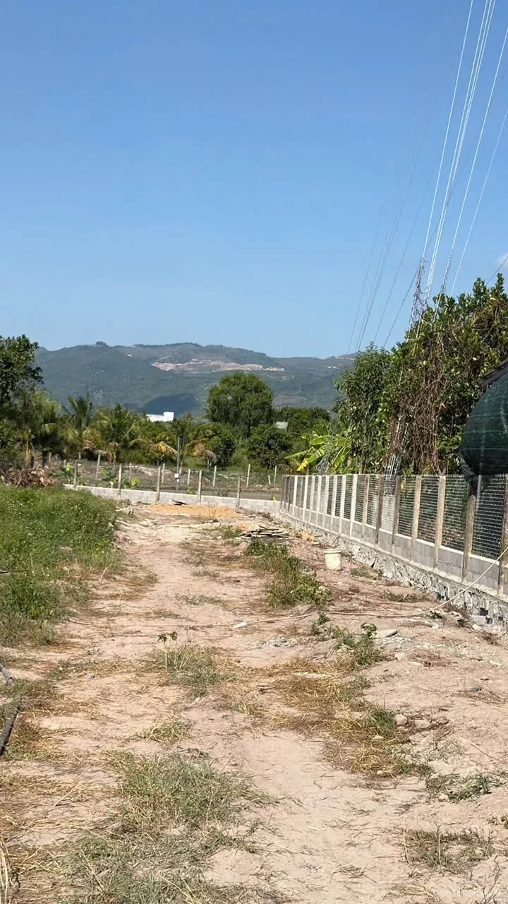 ĐẦU TƯ SINH LỜI – CHÍNH CHỦ CẦN BÁN ĐẤT Tại Thôn Tân Thành, xã Suối Hiệp, tỉnh Khánh hòa 2
