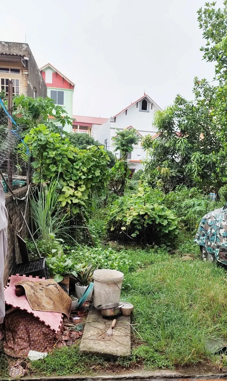 ĐẤT CHÍNH CHỦ- GIÁ TỐT BÁN NHANH LÔ ĐẤT VỊ TRÍ ĐẮC ĐỊA tại huyện Mê Linh tp Hà Nội 3